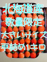 夏いちご　2L1キロ　北海道産　クール便　1日1キロ限定のサムネイル