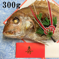 祝い鯛 300g お祝い お食い初め 鯛 山形県産 天然 真鯛焼き 尾頭付き 冷凍◆ 全国送料無料