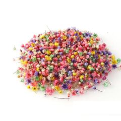 【特価】GOODCHI スターフラワー ドライフラワー 200個入り 小花 シンプル 天然 花材 押し花 花びら 飾り DIY用 手作り用 (薄い色)