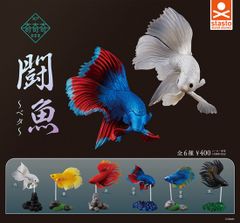 stand stones（スタンド・ストーンズ)闘魚～ベタ～