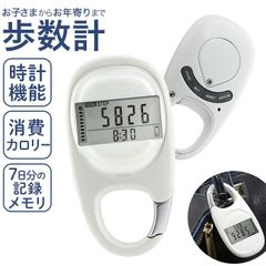 Item thumbnail for item bc489314-3d12-4047-b527-5342617a747f