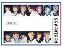 SEVENTEEN ブルーレイ IDEAL CUT K-POP セブチ - メルカリ