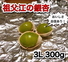 愛知県祖父江産　銀杏　3L 300g