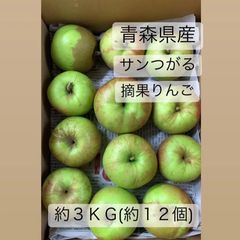 青森県産りんご　サンつがる　摘果りんご　約3kg