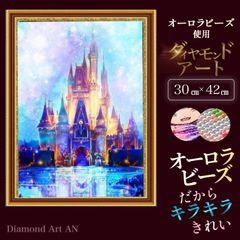 DSAB-5【オーロラビーズ&額縁印刷】ダイヤモンドアート A3 幻想的　お城