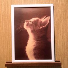 181: きみを想う       猫  パロディアート  ポスター B5フレーム付き