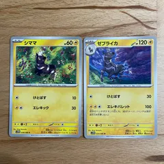 ポケモンカード　シママ/ゼブライカ　進化セット