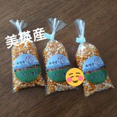 美瑛産・はじける！香ばしいポップコーン【100g×3】
