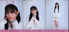 乃木坂46 2023年1月ランダム生写真 川崎桜 Happy New Year! 2023 干支 兎 コンプ