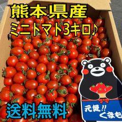 熊本県産　ミニトマト　約3キロ　秀品