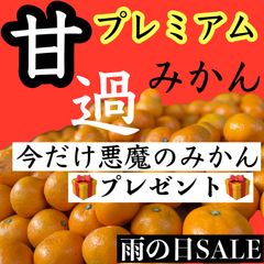 プレミアム有田みかん　3キロ