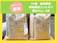 R４年産　新潟県産 特別栽培コシヒカリ 精米 5kg×2袋