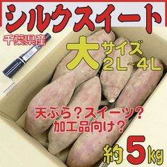 さつまいも 大きい シルクスイート（2L～4L） 5kg【土付き】のサムネイル