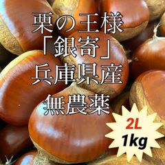 採れたて　銀寄　生栗  2Lサイズ 1kg