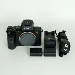 2024年最新】sony α7iii 三脚の人気アイテム - メルカリ