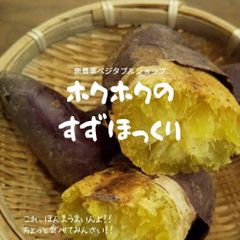 広島県産 無農薬 さつまいも すずほっくり サツマイモ