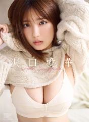 Item thumbnail for item fe586a1d-f027-4a99-9c2c-963ad5481123