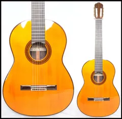 ギター Takamine DSP-110 Takamine DSP110/TBS エレアコギター タカミネ 【中古】 | 島村