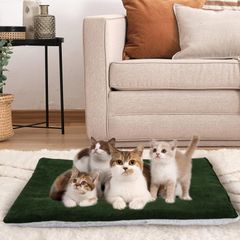 Item thumbnail for item afe8c524-2c8e-422c-9454-55bb854287b6