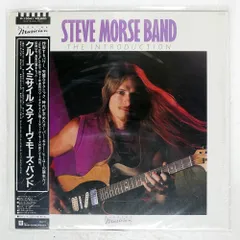 TOYA ギター　ジャンク Steve Morse タイプ X Series Dinky® Arch Top DKAF7 MS – Jacksonguitars.com