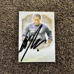 世界1枚限定！Futera 1of1 TIM HOWARD 実使用ジャージカード Amazon.co.jp: 世界1枚限定！Futera 1of1 TIM HOWARD 実使用