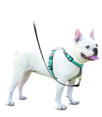 新品 PetSafe（ペットセーフ） 犬用ハーネス 3in1ハーネス ティール（グリーン） Sサイズ