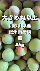 3Lサイズ 和歌山県産 紀州南高梅 色付き 箱込み5キロ 青梅 - メルカリ