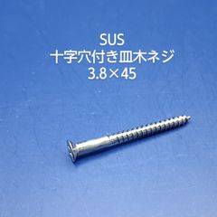 SUS　皿木ネジ　3.8×45