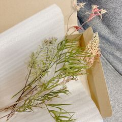 おまかせドライフラワー10本セット