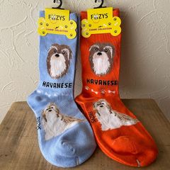 犬種別靴下　Foozy アメリカ直輸入　22-25cm　ハバニーズ　Havanese