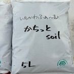 「かちっとsoil」5L いちかわふぁーむ生産者の土