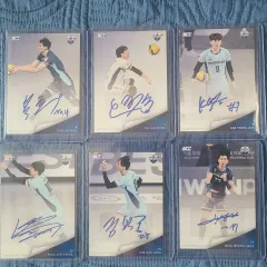 24kovo バレーボール ウーリカード バレーボールチーム