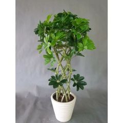 造花ホンコン８本編みタワー　造花観葉植物（高さ85ｃｍ幅55ｃｍ）光触媒　開店祝い・新築祝い
