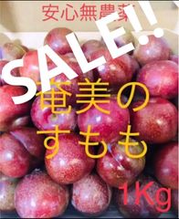 【シーズン終了間近】奄美大島産無農薬すももプラム【限定20セット】