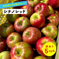 8月5日から31日まで発送予定「シナノレッド5キロ箱訳あり品」  りんご 信州産 夏リンゴ 産地直送（11～28玉） 長野県産 安曇野 農林水産大臣賞のサムネイル