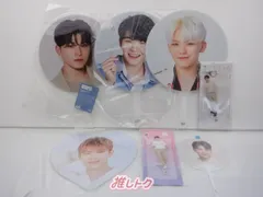 SEVENTEEN WOOZI グッズセット ウジ うちわ アクリルスティック INCOMPLETE IDEALCUT CARATLAND ODE TO YOU ケレン ソウルコン