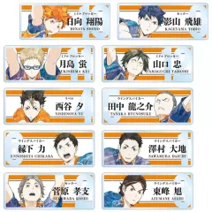 【中古】バッジ・ビンズ 全10種セット 「ハイキュー!! トレーディング Ani-Art 第3弾 アクリルネームプレート」