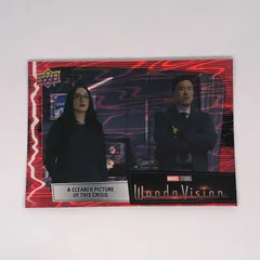 2025年最新】ワンダヴィジョンの人気アイテム - メルカリ