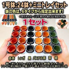 1セット＊1号鉢ミニプラ鉢：6色単色や混合から選択(24鉢＋ミニトレイセット)×1セット＊多肉植物・塊根植物コーデックス・アガベ・サボテン・盆栽・観葉・ハオルチア・アデニウム・パキポディウム・実生・種まき・さし芽・さし木・さし葉＠フラワーショップ江口