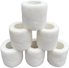 Item thumbnail for item 440dfaf8-28c6-4d97-ae91-cf708200f328