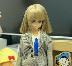 ♥箱無し・新品♥　 リカちゃんキャッスルエクセリーナ リカちゃんキャッスル】ジェニーエクセリーナ髪色違い版 店頭