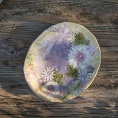 未使用〉京焼 清水焼 陶あん 花めぐり 淡紫ポピー 五寸皿 色絵付 共箱