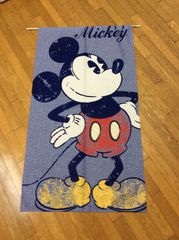 のれん(Mickey)