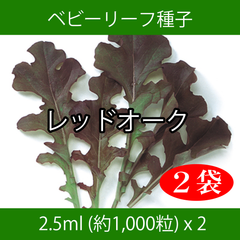 ベビーリーフ種子 B-02 レッドオーク 2.5ml 約1,000粒 x 2袋