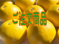 ミッキー様ご予約専用商品🥳