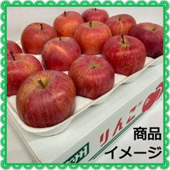 信州 長野県産 サンふじ りんご 訳あり 家庭用 3kg 農家・市場厳選