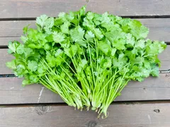 2025年最新】パクチーの人気アイテム - メルカリ