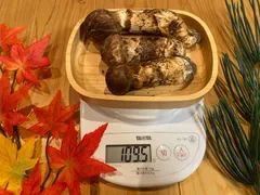 2025年最新】北海道天然松茸の人気アイテム - メルカリ 2025年最新】北海道天然松茸の人気アイテム - メルカリ