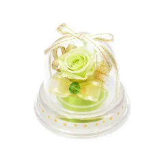 プチギフト 8月 プリザーブドフラワー メッセージカード ミニドーム 魔法のお花 薔薇 枯れない かわいい おしゃれ お祝い　誕生日 お花ソムリエ フラワー プレゼント