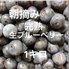 2025年最新】無農薬ブルーベリーの人気アイテム - メルカリ